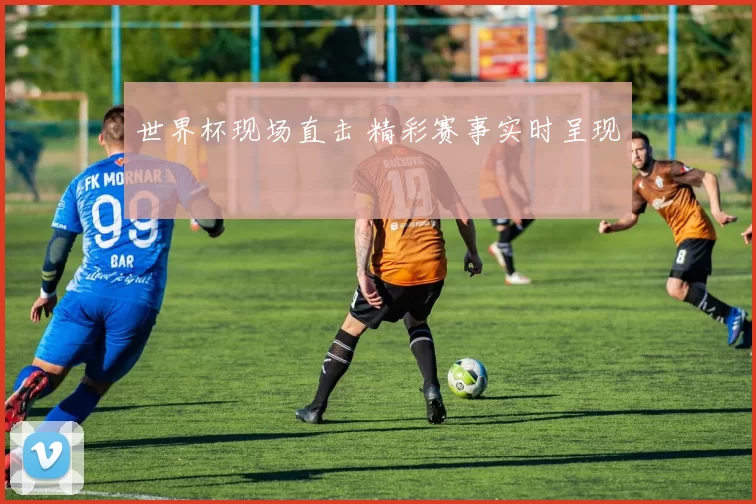 世界杯现场直击 精彩赛事实时呈现