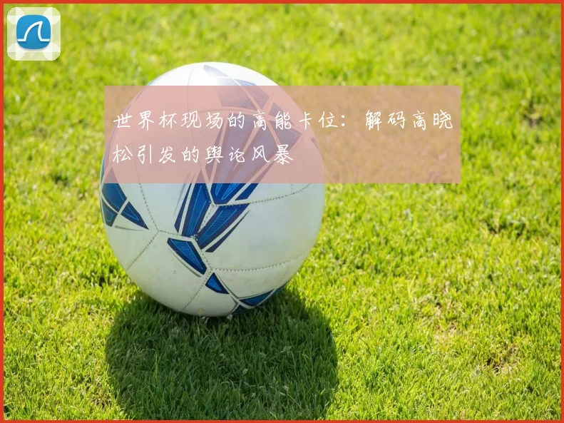 世界杯现场的高能卡位：解码高晓松引发的舆论风暴