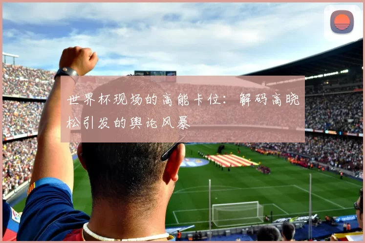 世界杯现场的高能卡位：解码高晓松引发的舆论风暴