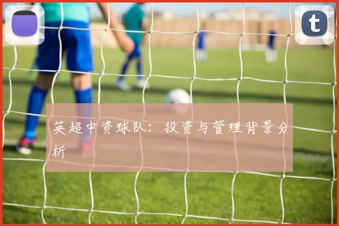 英超中资球队：投资与管理背景分析