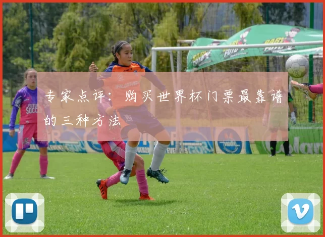 专家点评：购买世界杯门票最靠谱的三种方法