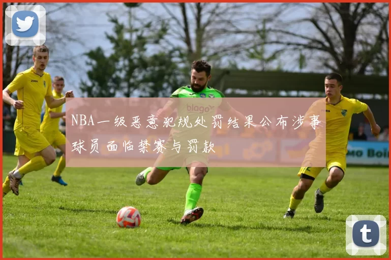 NBA一级恶意犯规处罚结果公布涉事球员面临禁赛与罚款